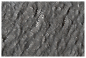 Diverse Utopia Planitia Landforms