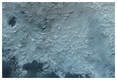 Transverse and Barchan Dune Field