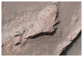 Unnamed Well-Preserved Crater