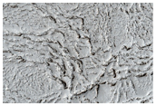 Southern Margin of Flood Lavas in Elysium Planitia