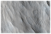 Field of Small Cones in Southern Elysium Planitia
