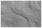 Sample Northern Plains