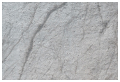 Floor of Secchi Crater