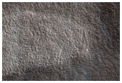 Sample Northern Plains