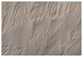 Gullies in Southwest Noachis Region Ring Trough