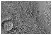 Bizarre Terrain of Hellas Basin Floor