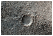 Crater with Gullies Seen in MOC Image E12-01539