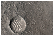 Fresh Crater in Isidis Region