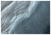 Looking for Gullies Along Dao Vallis