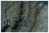 Mawrth Vallis Phyllosilicates