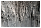 Young Double-Layer Ejecta Crater