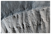 Bright Gully Deposits in a Fresh Impact Crater