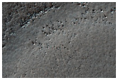 Sample Surface Texture