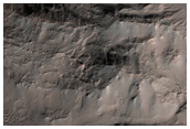 Hale Crater Rim Complex with Gullies on Both Sides