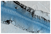 Multiple Branches of Cerberus Fossae