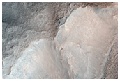 Looking for Gullies
