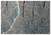 Scallops and Polygons in the Utopia Planitia