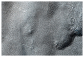 Mad Vallis