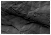 Look for More High-Latitude Dune Gullies