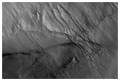 Gullies in Troughs with Patterned Ground