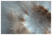 Polygonal Texture