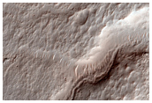 Dune Field in Crater