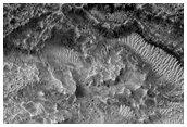 Possible Kaolinite and Ferrosaponite in Eastern Nili Fossae