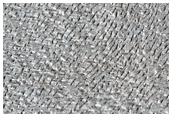 Debris Apron Surface Texture
