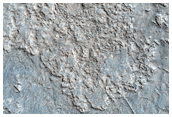 Patterned Ground