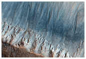 Gullies Possibly Produced by Snow or Ice Melting