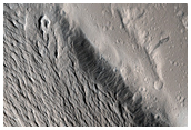 Northwest Edge of Lycus Sulci Ridged Terrain