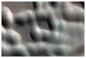 Possible Northern Araneiform Terrain