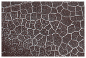 Polygonal Ground Seen in MOC Image M01-00204