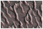 Translucent Ice in the North Polar Region