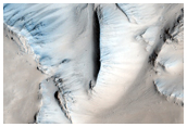 Well-Preserved 40-Kilometer Diameter Unnamed Crater Near Tartarus Region