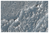 Daedalia Planum