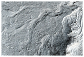 Fine-Branched Ridges