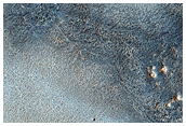 Arcadia Planitia