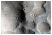 Lycus Sulci Ridged Terrain