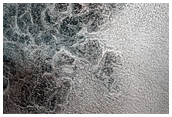 Polar Crater with Summer Ice