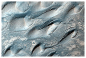 Dark Dune-Like Forms in Southern Melas Chasma