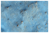 West Syrtis Major Wind Streak and Albedo Monitoring Site
