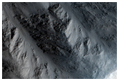 Base of Northern Olympus Mons Basal Scarp