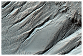 Mid-Latitude Gullies in Crater
