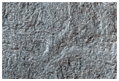 Flow Features North of Argyre Region