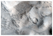 Cones and Pitted Material Inside An Embayed Crater in the Tartarus Montes