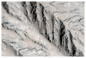 West Flank of Olympus Mons