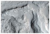 Strange Circular Feature in Amazonis Planitia