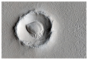 Mounds in Utopia Planitia