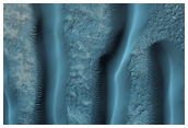 Multiple Types of Dune Morphologies in Hellespontus Region